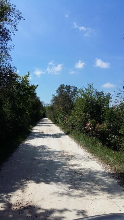 Poggio Alla Scaglia Casa vacanze